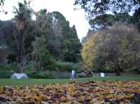  🌳 墨爾本市中心的秘密花園！Fitzroy Gardens 一日輕旅行