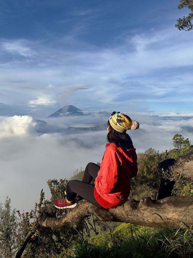 Bromo โบรโม่ ลมหายใจเทพเจ้า อินโดนีเซีย