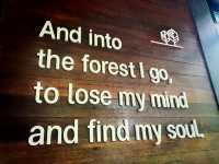 Into the forest Krabi