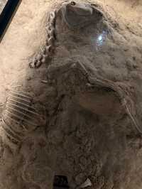 Xiang Yang Museum—free to visit🤩