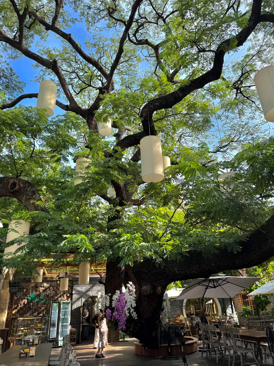 #DapatkanDiskonTanpaKeberuntungan 🇹🇭Bangkok sangat santai! Anda bisa betah seharian!!!
Salah satu restoran favorit saya di Bangkok. Suasananya luar biasa.
Mereka menawarkan makan malam dan teh sore. ☕️
Pepohonan berusia berabad-abad, jembatan kecil, ikan mas, dan kolam yang diselimuti kabut.
Dikelilingi oleh pepohonan hijau yang rimbun, tempat ini menawarkan pengalaman bersantap yang sangat menenangkan.
Bahkan kastil Eropa abad pertengahan 🏰 yang disulap menjadi aula pernikahan memberikan nuansa retro dan romantis.
Setiap tempat adalah kesempatan berfoto yang sempurna.
Makanannya disiapkan dengan cermat dan lezat.
#Thailand #MakananBangkok #RencanaMulaiRestoran #PerjalananBangkok #CheckInBangkok #FotografiBangkok #TehSoreBangkok #RestoranHutanTersembunyiBangkok #InginMenginapSepanjangHari #RestoranHutan