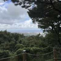 Halla Arboretum, Jeju Island,S.Korea