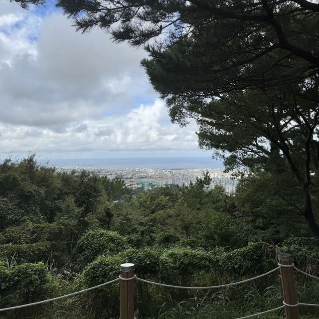 Halla Arboretum, Jeju Island,S.Korea
