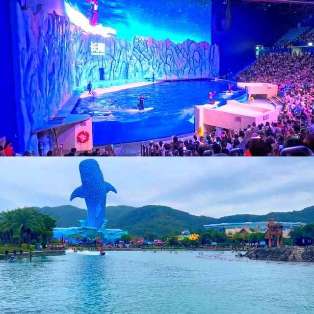 珠海長隆海洋王國親子遊 珠海長隆海洋王國親子遊