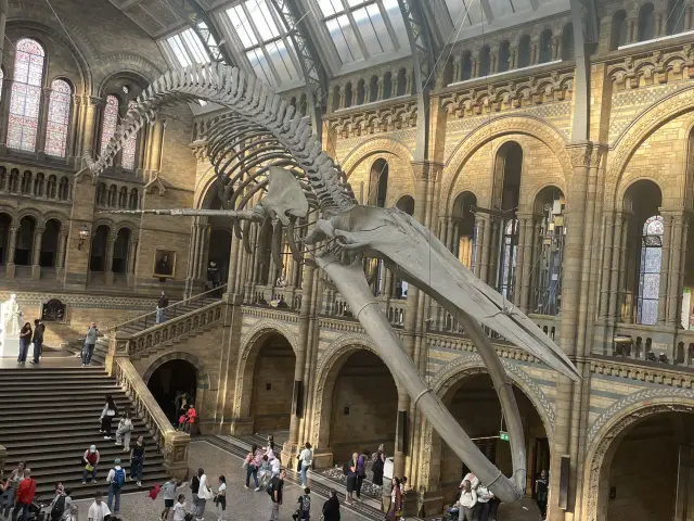 Classic Design Vibes🏛️ Museum lovers