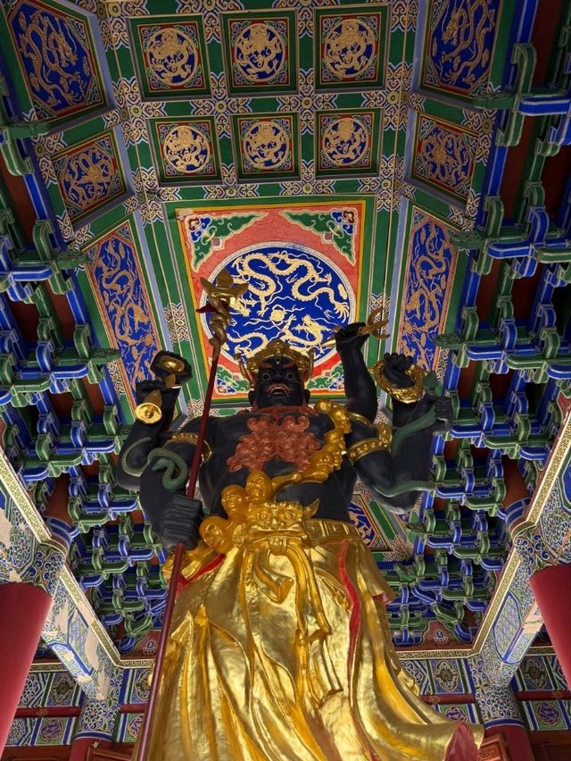 Dali Buddha Bliss🧘‍♂️