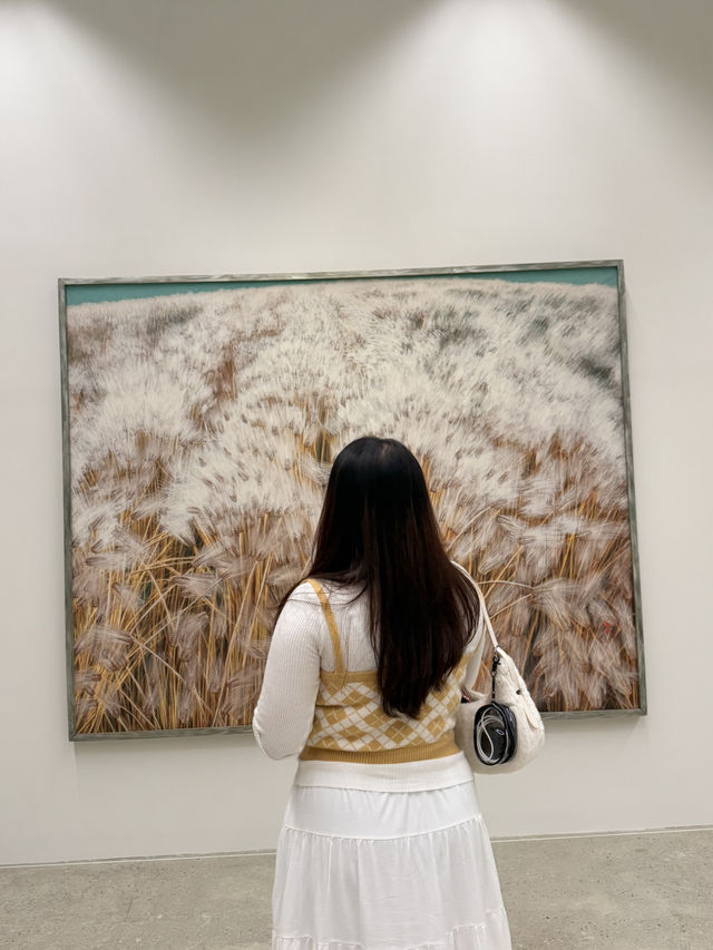 Cloudy Day Dream☁️