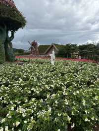 Fresh Garden Dalat 🌹🌺🌸