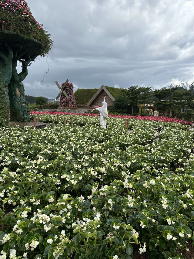 Fresh Garden Dalat 🌹🌺🌸