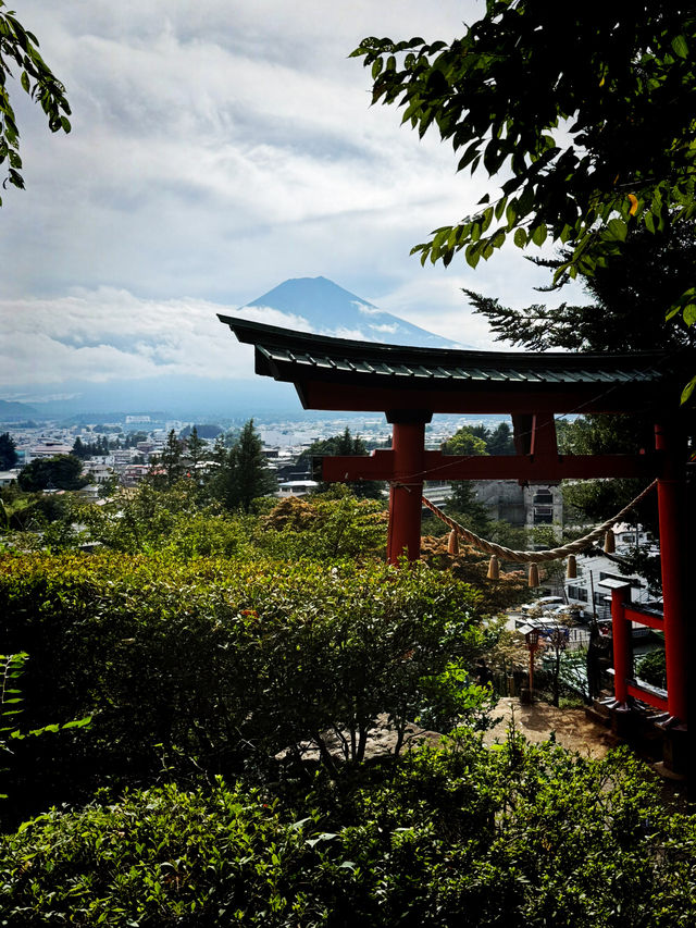 Sengen Park Escape🌳 Panorama view of Mt.Fuji