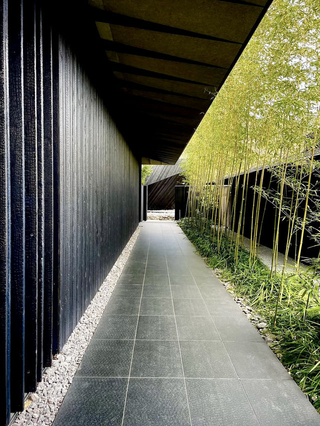 🎨 Art Meets Architecture at Comico Art Museum Yufuin