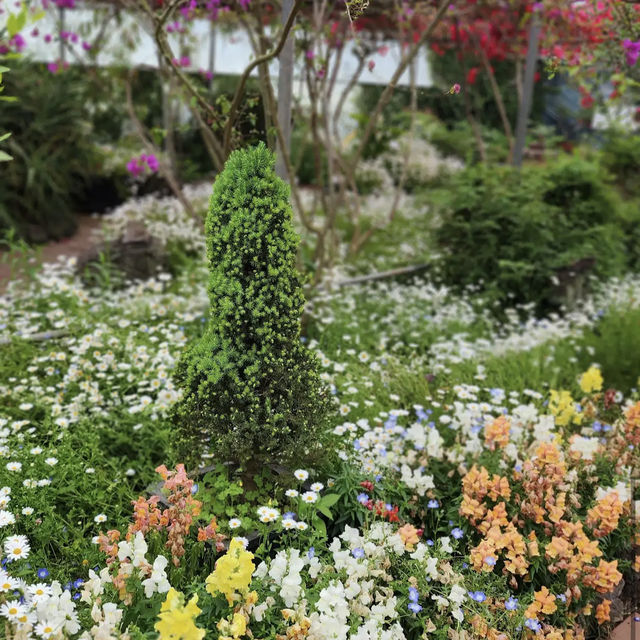 Jeju herb garden