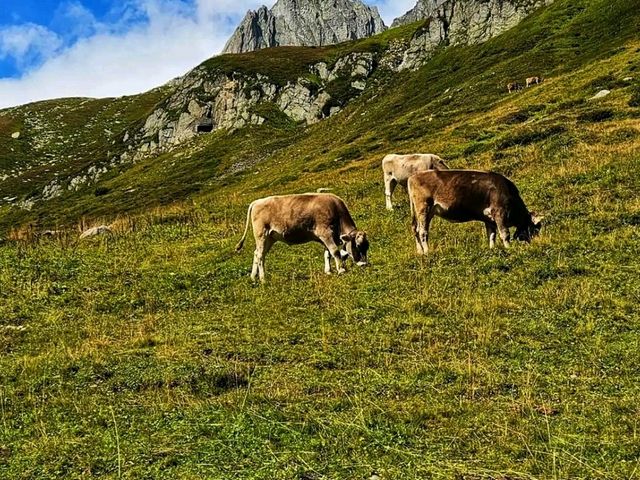 Switzerland’s Untamed Alpine Paradise🏔️