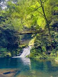 猛暑の中🫠涼を求めるならここ行って✨一日中自然を満喫できる滝のテーマパーク😉
