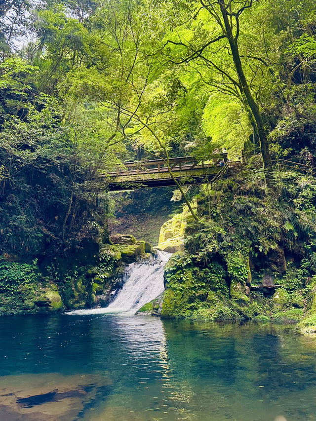 猛暑の中🫠涼を求めるならここ行って✨一日中自然を満喫できる滝のテーマパーク😉 猛暑の中🫠涼を求めるならここ行って✨一日中自然を満喫できる滝のテーマパーク😉