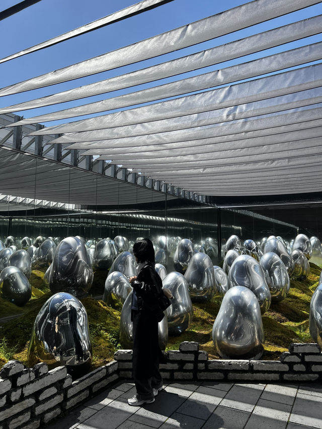 TeamLab planets TOKYO ✨ TeamLab planets TOKYO ✨