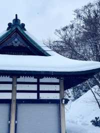 โ๏ธ๐๏ธ ์คํ๋ฃจ ๊ฒจ์ธ์ฌํ ๊ฐ์ด๋ (Otaru Winter Trip)