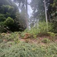 Washington Park Arboretum