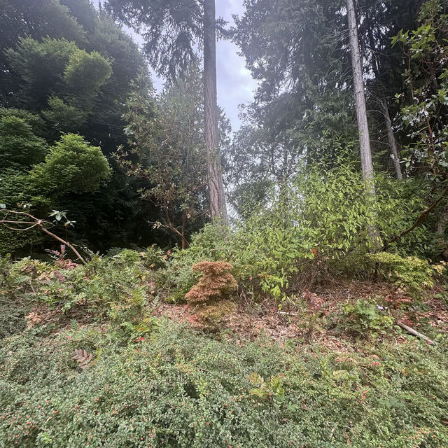 Washington Park Arboretum Washington Park Arboretum