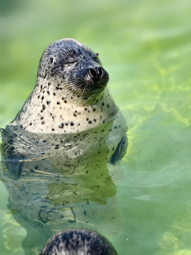 親子必去水族館人氣景點 親子必去水族館人氣景點