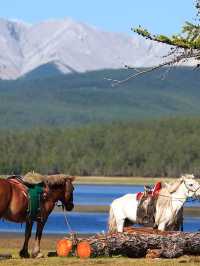 Gorkhi-Terelj National Park 