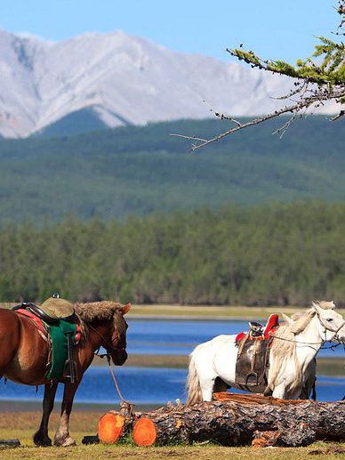 Gorkhi-Terelj National Park 
