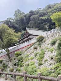 Japan 🇯🇵 Trip 2025