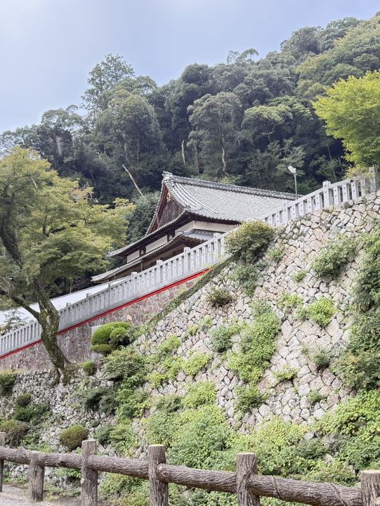 Japan 🇯🇵 Trip 2025