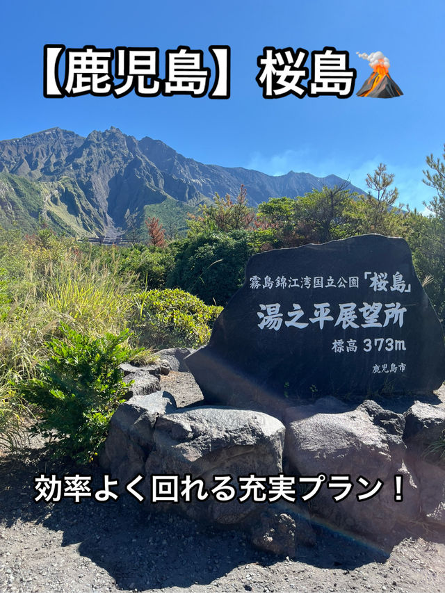 🚢 【1時間半で完結!朝イチ🌋桜島プラン】 🚢 【1時間半で完結!朝イチ🌋桜島プラン】
