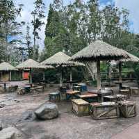 Auckland Zoo: ครึ่งวันที่เต็มไปด้วยความสนุกสนาน