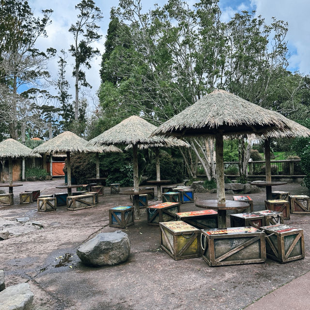 Auckland Zoo: ครึ่งวันที่เต็มไปด้วยความสนุกสนาน Auckland Zoo: ครึ่งวันที่เต็มไปด้วยความสนุกสนาน