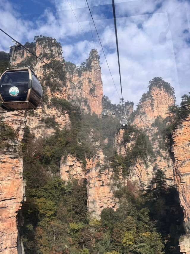 中國湖南張家界一日遊 武陵源 張家界 天子山 金鞭溪 中國湖南張家界一日遊 武陵源 張家界 天子山 金鞭溪