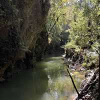 Waitomo Glowworm Caves