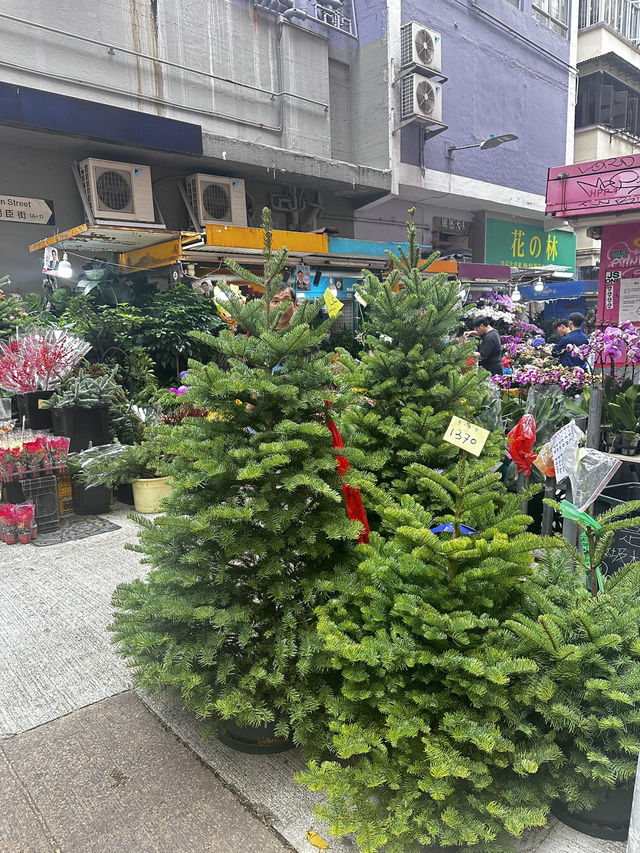 耶誕氛圍爆棚街頭打卡點🎄
