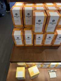 ๐ต ์ ์ฃผ ์ค์ค๋ก ํฐํ์ฐ์ค(ํฐ๋ฎค์ง์)