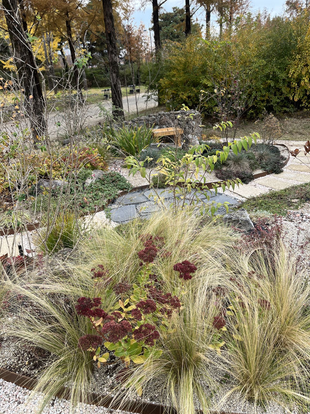 전주 아울정원 야외정원 숲산책로 추천🌲 전주 아울정원 야외정원 숲산책로 추천🌲