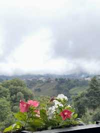 เที่ยวดอยแม่สองเชียงรายกันคะ