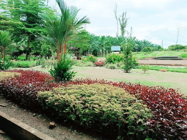 A Visit to Teck Guan Cocoa Village A Visit to Teck Guan Cocoa Village