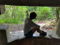 《屏東龜山步道:海景、山景一次滿足的輕量散步路線》