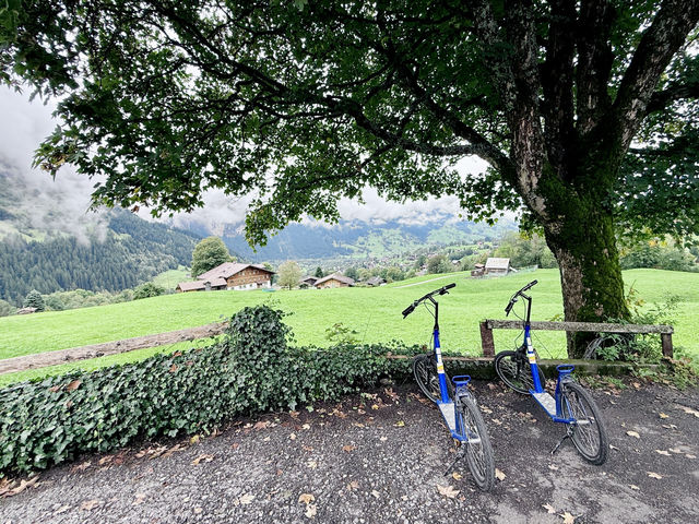 Grindelwald Dreamtrip🌞