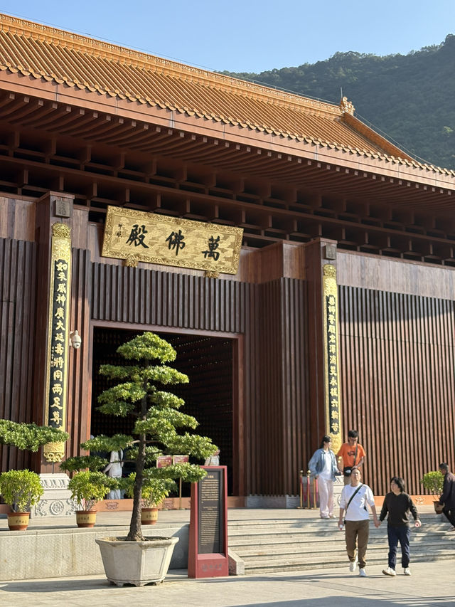 深圳仙湖弘法半日遊,自然療癒與禪意體驗 深圳仙湖弘法半日遊,自然療癒與禪意體驗