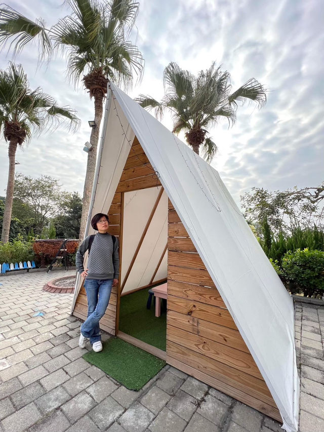 《雲河星空景觀餐廳|夜景、美拍、盪鞦韆一次滿足的浪漫景點! 《雲河星空景觀餐廳|夜景、美拍、盪鞦韆一次滿足的浪漫景點!