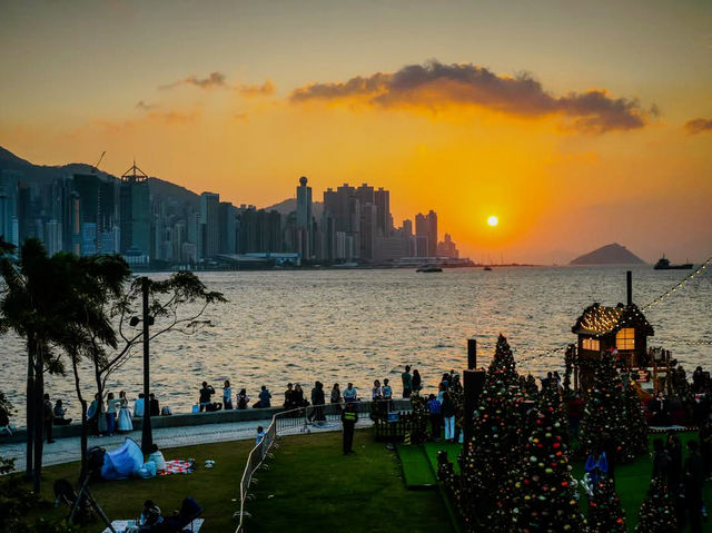 A Canopy of Constellations Stitched into Twilight A Canopy of Constellations Stitched into Twilight