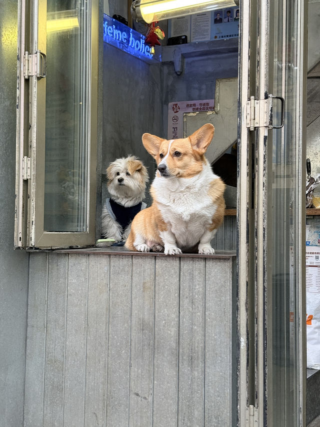 เซี่ยงไฮ้แบบไม่มีแพลน เน้นชิล 🎄✨