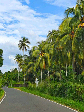 The other day, we drove through Kegalle on our way to Sigirya. It was a beautiful place to break up the journey. Driving through the twisty tropical roads through palm tree forests and the reflective surfaces of nearby ponds. 

But the highlight? Of course, the Grand Walawwa Hotel. An oasis overlooking the busy town of Kegalle - the hotel is a the definition of luxury and comfort. 

From the moment you drive in, the winding pathway takes you up to the beautiful property. The white mansion is luxurious but tastefully done. The dark wooden furniture creates a cozy feel. The lush greenery invokes calm. 
 
And look no further than the hotel's restaurant for a meal. We had a fantastic dinner from their Indian Kitchen. 

#kegalle #srilanka