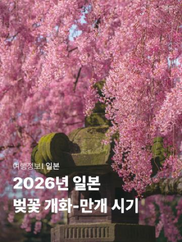 🇯🇵2026년 일본 벚꽃 개화·만개지도와 벚꽃 명소 총정리!