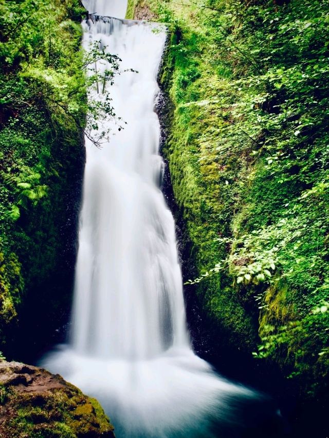 Peru Piura Huancabamba Valley Mossy Chachapoyas Cloud Foresteasytravelpost #Chachapoyas #CloudFores