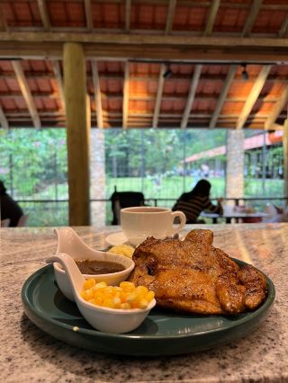 [Pahang · Janda Baik] Discover Pineyard: A Forest Sanctuary! Gourmet Healing Amidst the Pines.