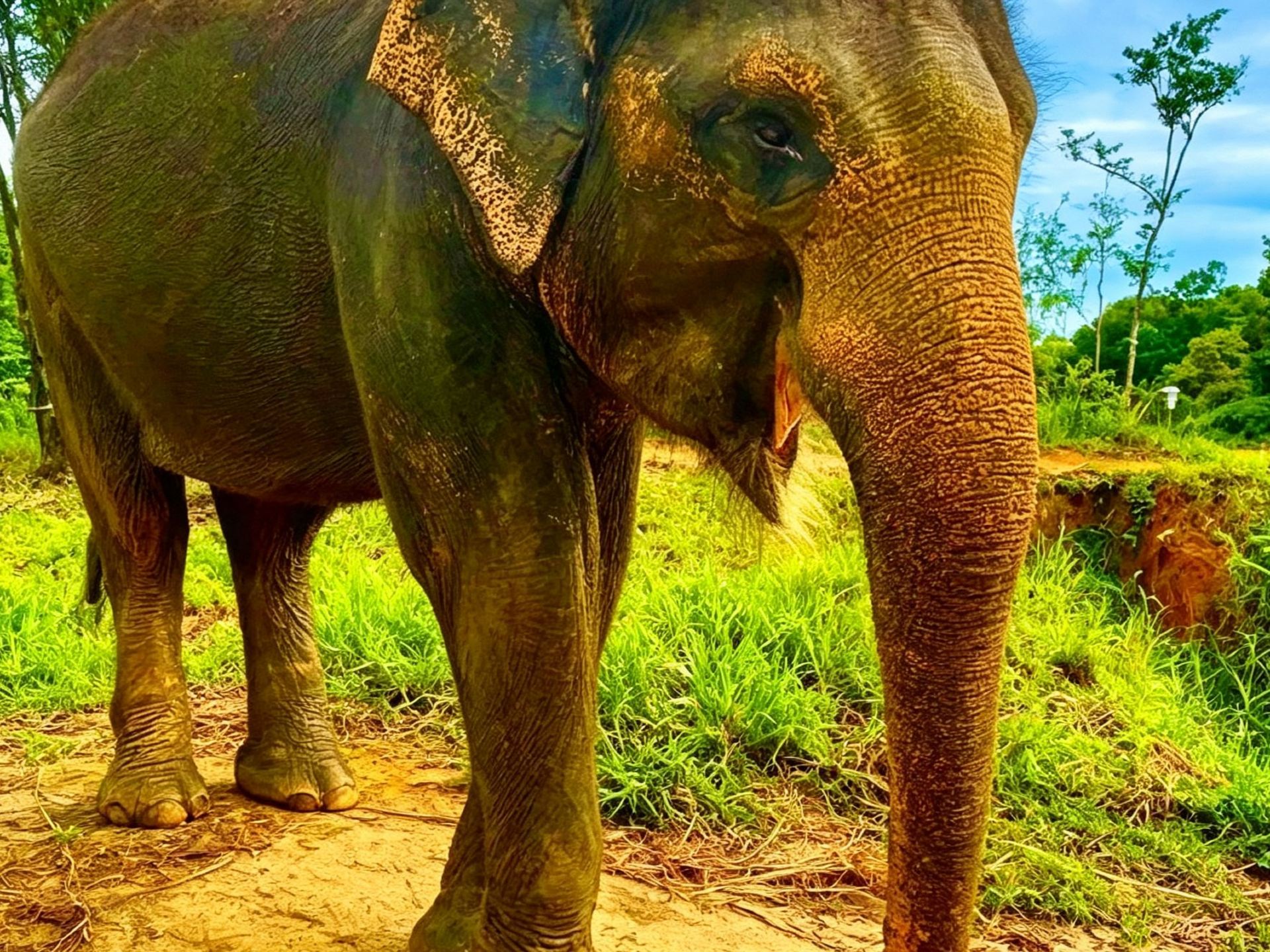 Safari Lagoi Bintan: Underrated Eco Park for Wildlife Lovers on Bintan Island