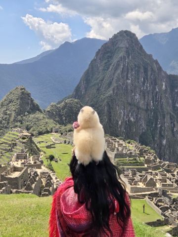 Authentic Review of the Live Visit to Machu Picchu, the Lost City in the Clouds ✨